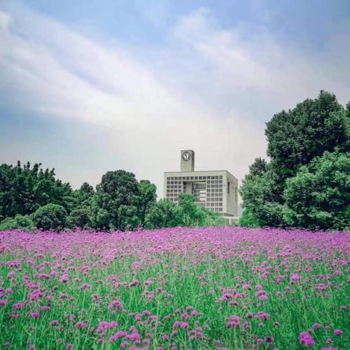 重庆师大景点排行榜_重庆师范大学周边景点