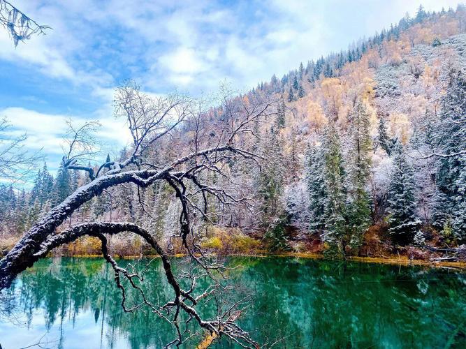 成都九寨沟旅游纯玩团六日游_成都九寨沟旅行