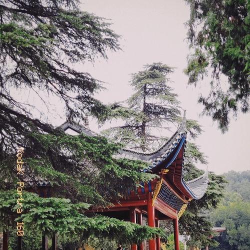 鄂州西山风景区介绍-鄂州西山风景区介绍作文