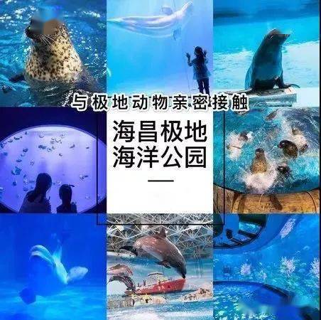 成都海昌极地海洋世界_成都海昌极地海洋世界门票多少钱一张